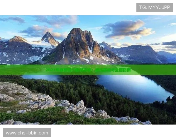 bob真人登录线路常见问题及解决方案，保障玩家顺畅登录的全面指南